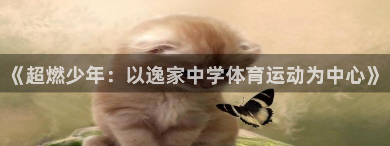 球客岛