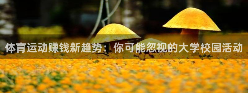 球客岛
