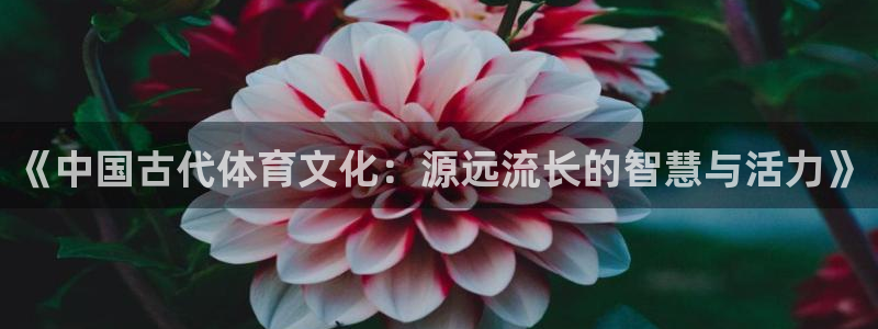 球客岛
