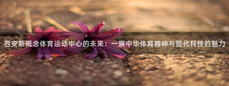 球客岛