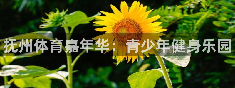 球客岛