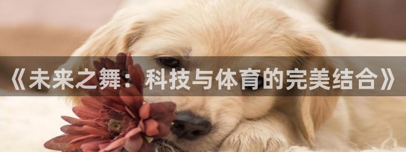 球客岛