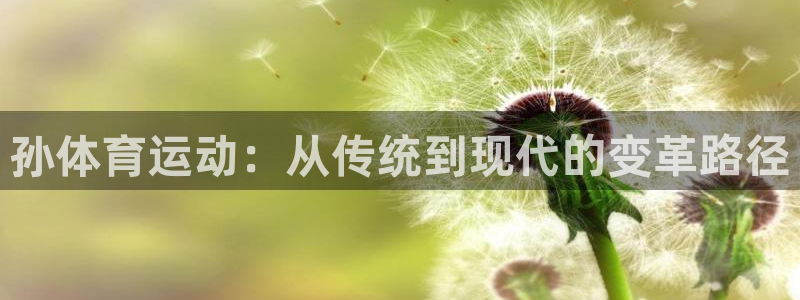 球客岛